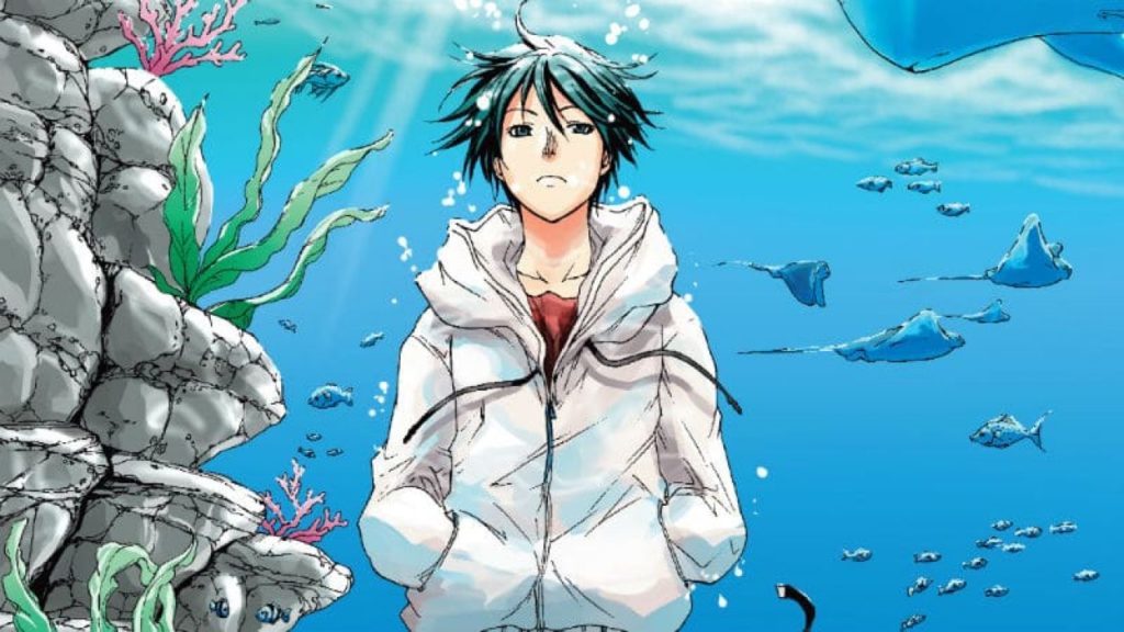 Novità live action: laid-back camp, grand blue e saint young men