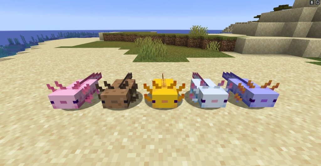 nuova creatura minecraft axolotl