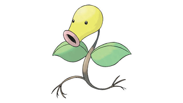 Bellsprout pokemon z-a